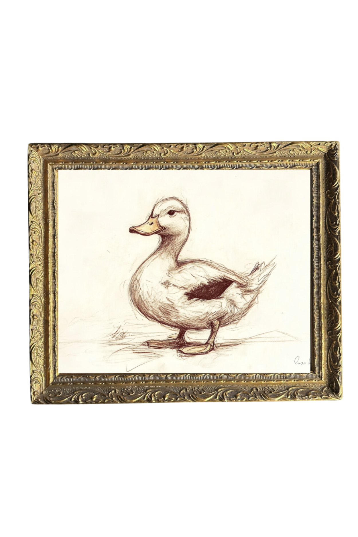 Duckling Sketch | French Brass Gold Mould Framed Art | By Luxe B Co.