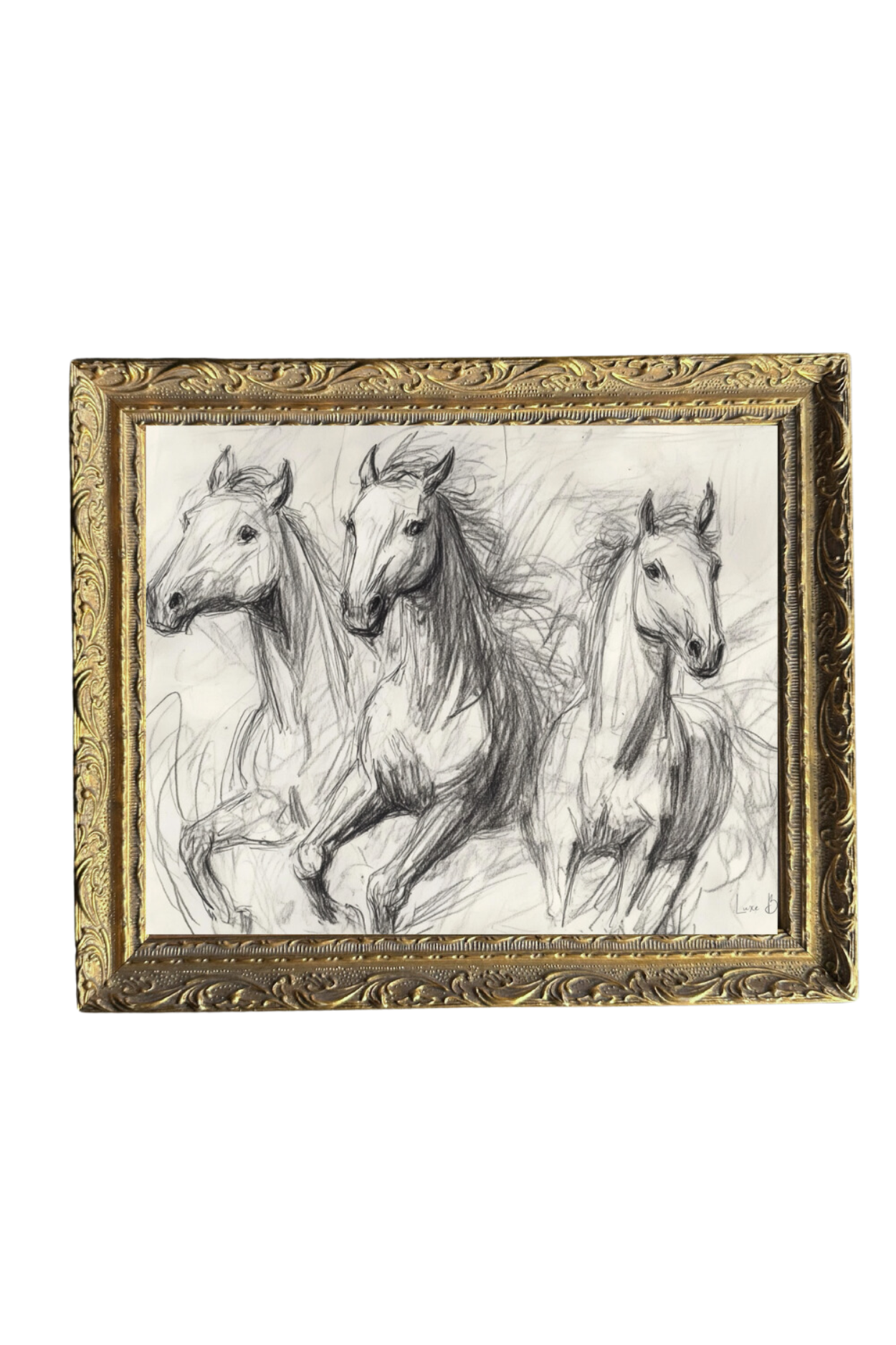 Horse Sketch | French Brass Gold Mould Framed Art | By Luxe B Co.