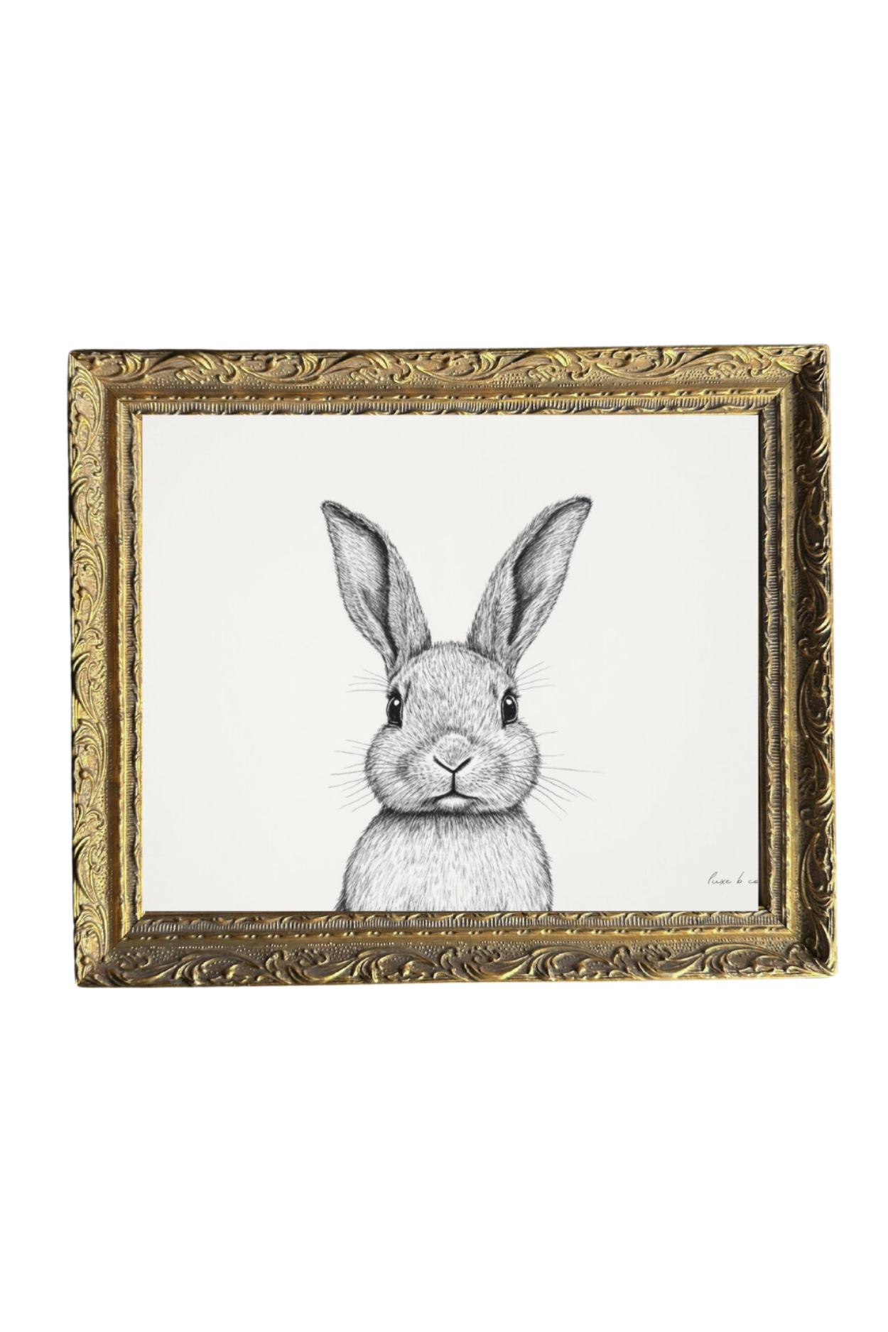 Rabbit Sketch | French Brass Gold Mould Framed Art | By Luxe B Co.